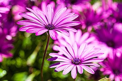 《eBASEBALL 实况力量棒球2022》开场动画公开 4月21日发售